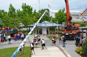 Die Aufstellung des Maibaums brachte nicht nur die Mitarbeiter der Firma Haas ins Schwitzen. Foto: BDF/Haas Fertigbau